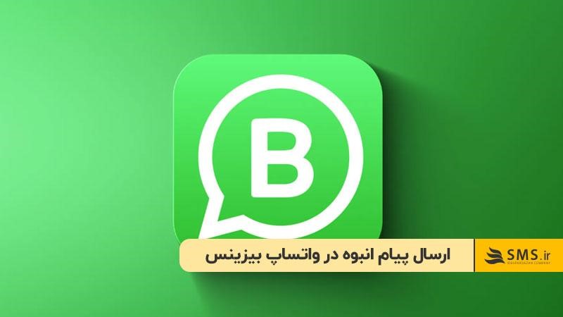 ارسال پیام انبوه در واتساپ بیزینس