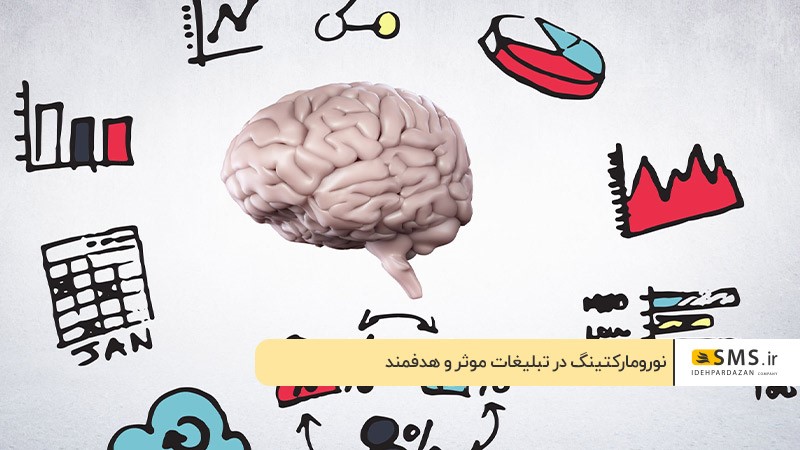 Le neuromarketing dans une publicité efficace et ciblée