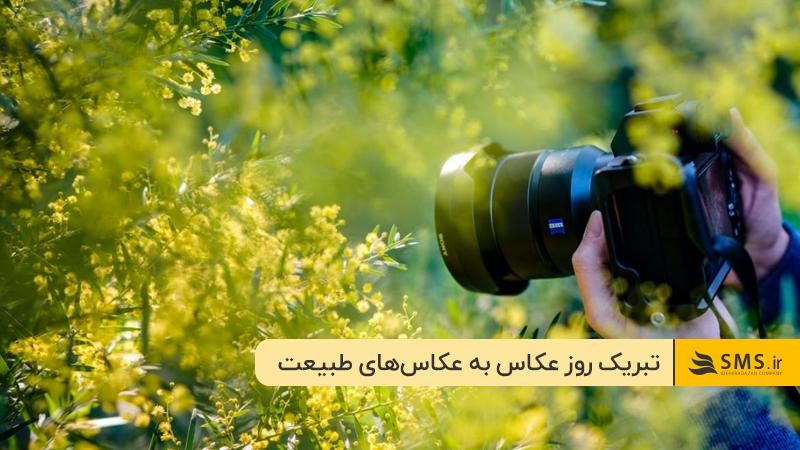 روز شما مبارک!