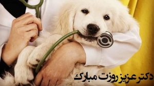 تبریک روز دامپزشکی